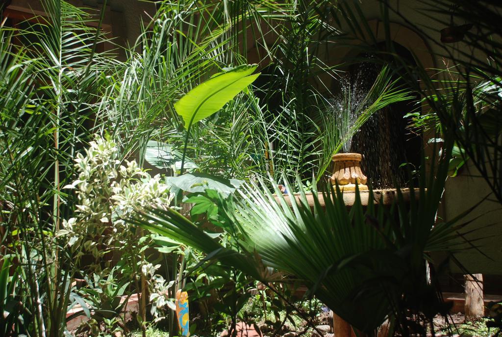 Riad Arambys As-Sawíra Exteriér fotografie